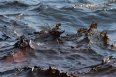 РАЗЛИВ НЕФТЕПРОДУКТОВ НА ЧЕРНОМ МОРЕ (Видео)