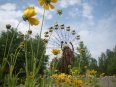 ЧЕРНОБЫЛЬСКИЙ ТУРИЗМ. ЗДЕСЬ ОСТАЛСЯ СССР. ЗДЕСЬ ПРОИЗОШЛА ОДНА ИЗ САМЫХ СТРАШНЫХ ТЕХНОГЕННЫХ КАТАСТРОФ
